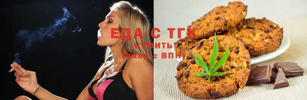 мет Дмитров