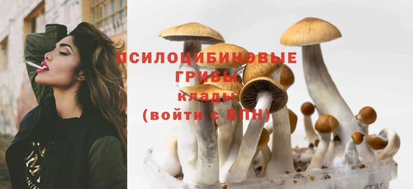 каннабис Дмитриев