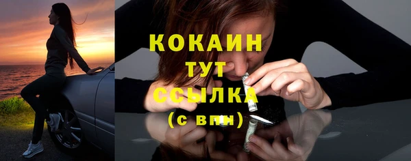 мет Дмитров